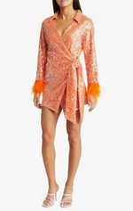Sequin & Feather Wrap Mini Dress
